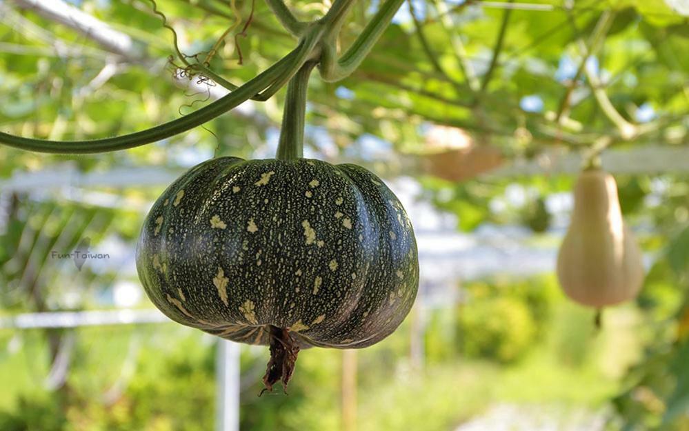 香草星空民宿 五结 外观 照片